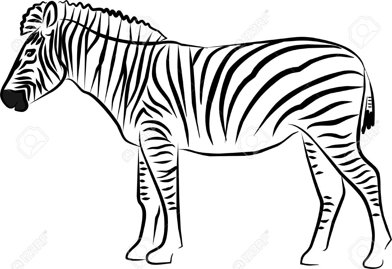 Detail Zebra Black And White Clipart Nomer 3