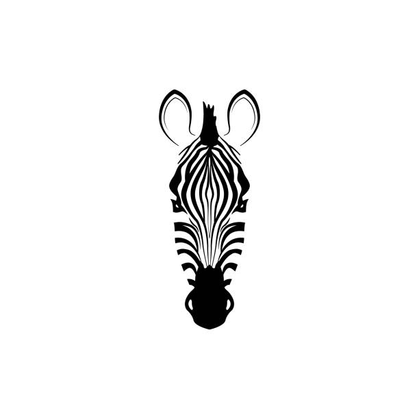 Detail Zebra Black And White Clipart Nomer 40