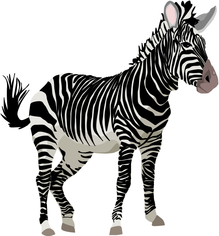 Detail Zebra Clipart Nomer 17