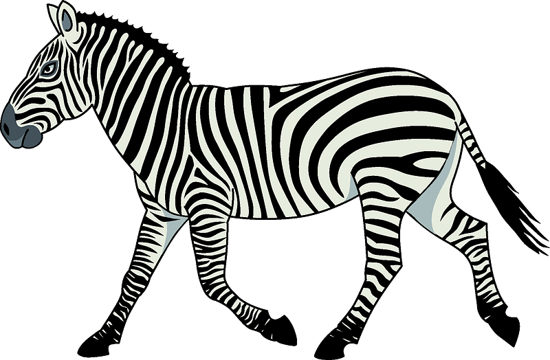 Detail Zebra Clipart Nomer 5