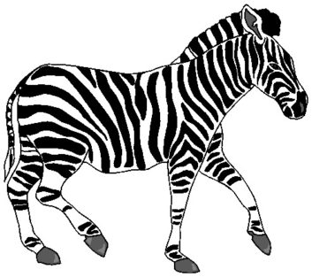Detail Zebra Clipart Nomer 43