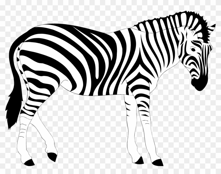 Detail Zebra Clipart Free Nomer 11