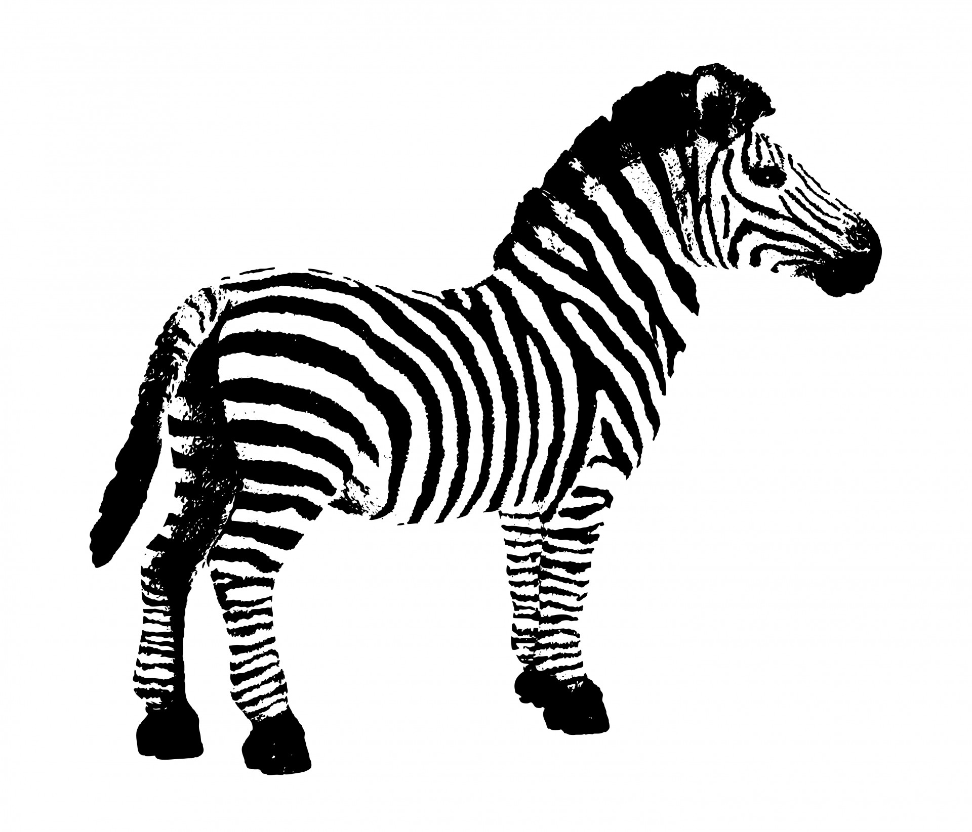 Detail Zebra Clipart Free Nomer 21