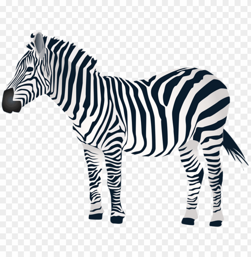 Detail Zebra Clipart Free Nomer 28