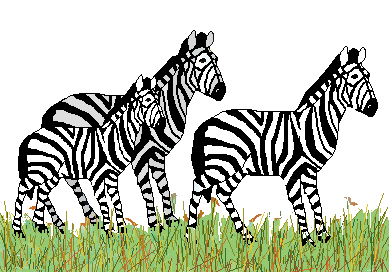 Detail Zebra Clipart Free Nomer 50