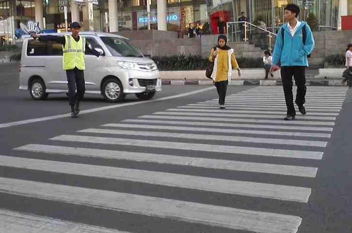 Detail Zebra Cross Kartun Nomer 42