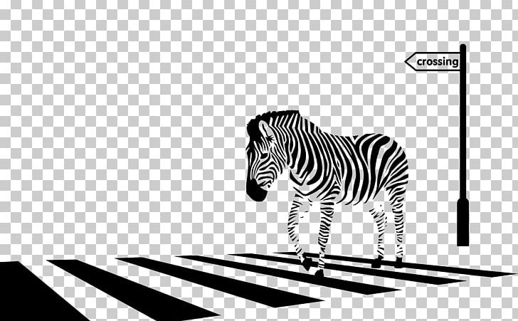 Detail Zebra Cross Kartun Nomer 44