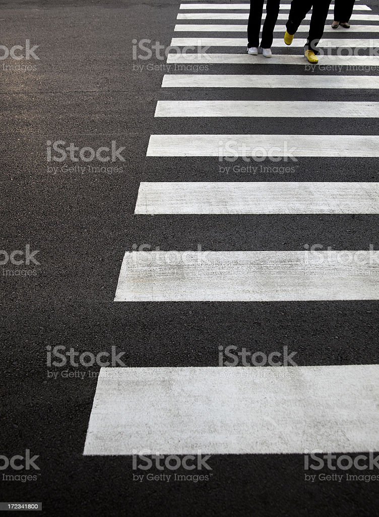 Detail Zebra Cross Kartun Nomer 50