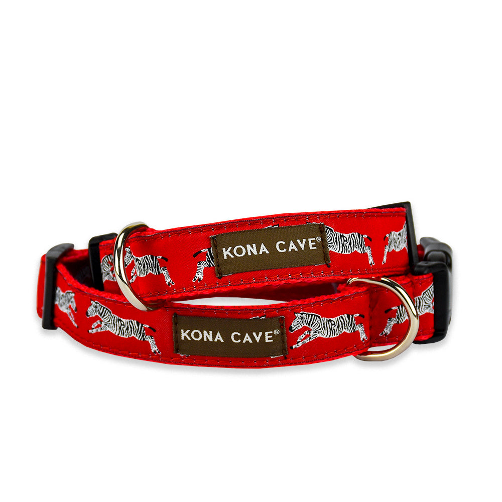 Detail Zebra Dog Collar Nomer 53