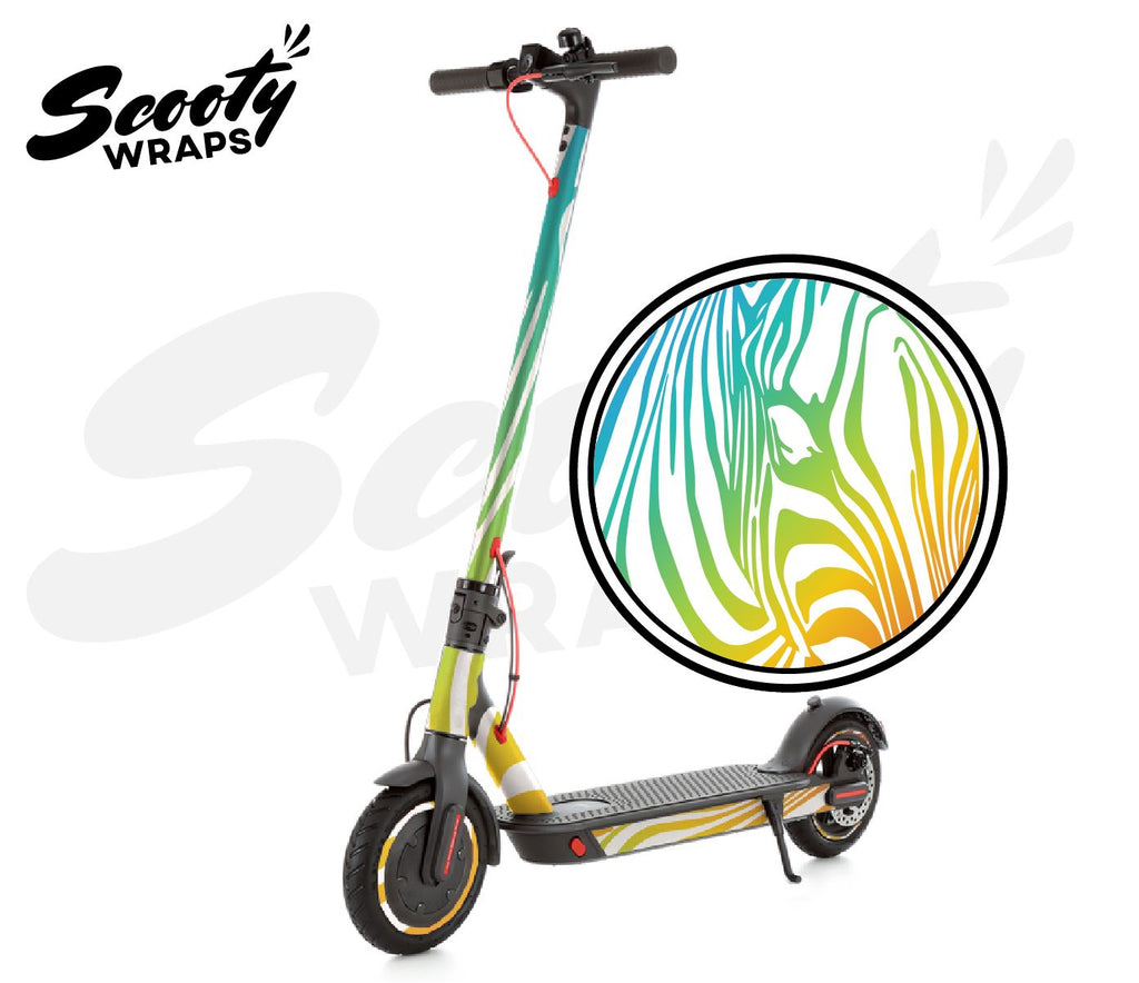 Detail Zebra Electric Scooter Nomer 19