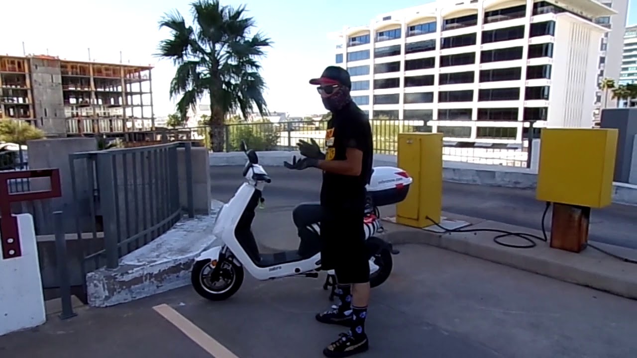 Zebra Electric Scooter 58+ Koleksi Gambar