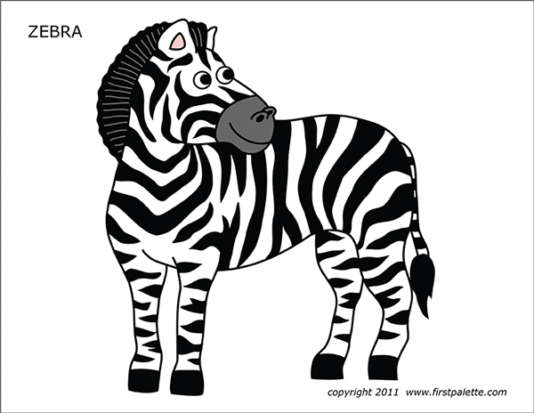 Detail Zebra Image Nomer 51