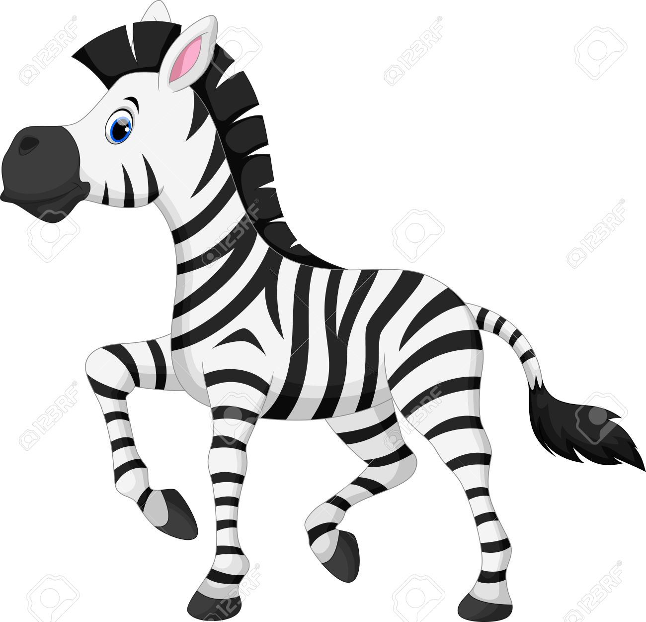 Detail Zebra Images Free Nomer 46