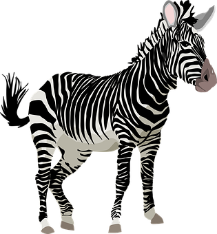 Detail Zebra Images Free Nomer 6