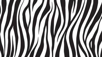 Detail Zebra Images Free Nomer 50