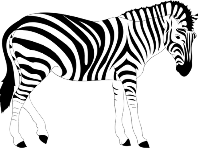 Detail Zebra Kartun Png Nomer 33