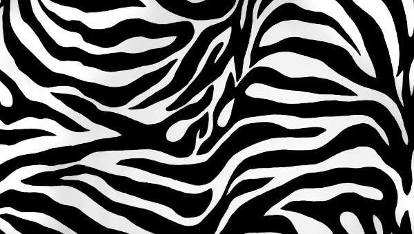 Detail Zebra Pattern Png Nomer 2