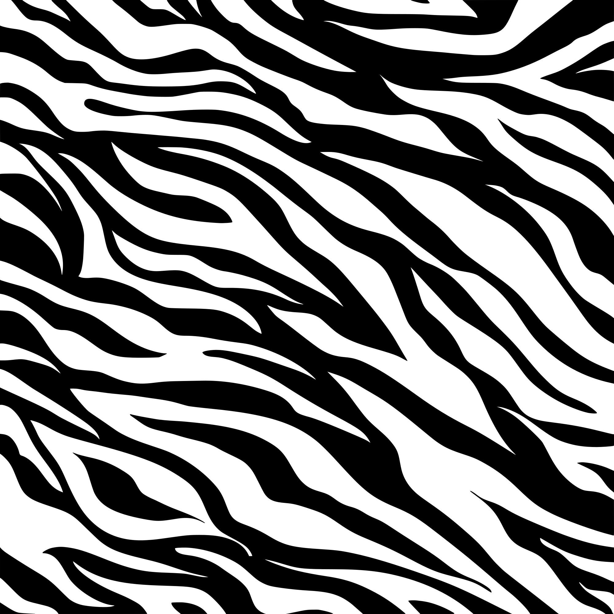 Detail Zebra Pattern Png Nomer 11