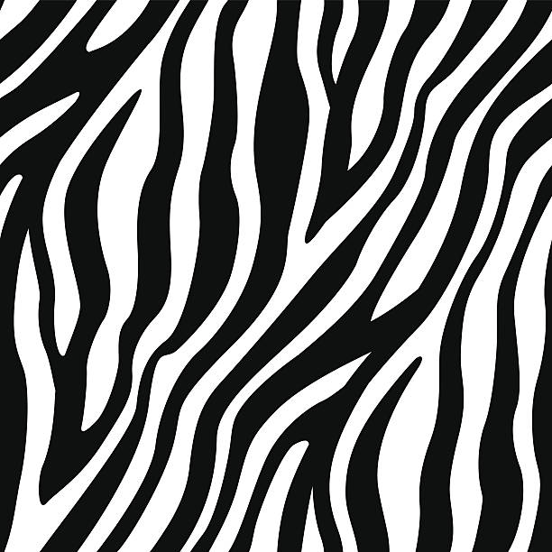 Detail Zebra Pattern Png Nomer 12