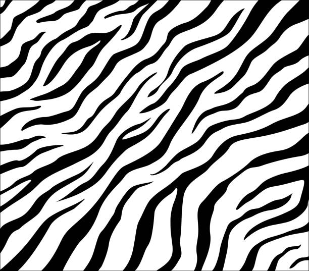 Detail Zebra Pattern Png Nomer 14