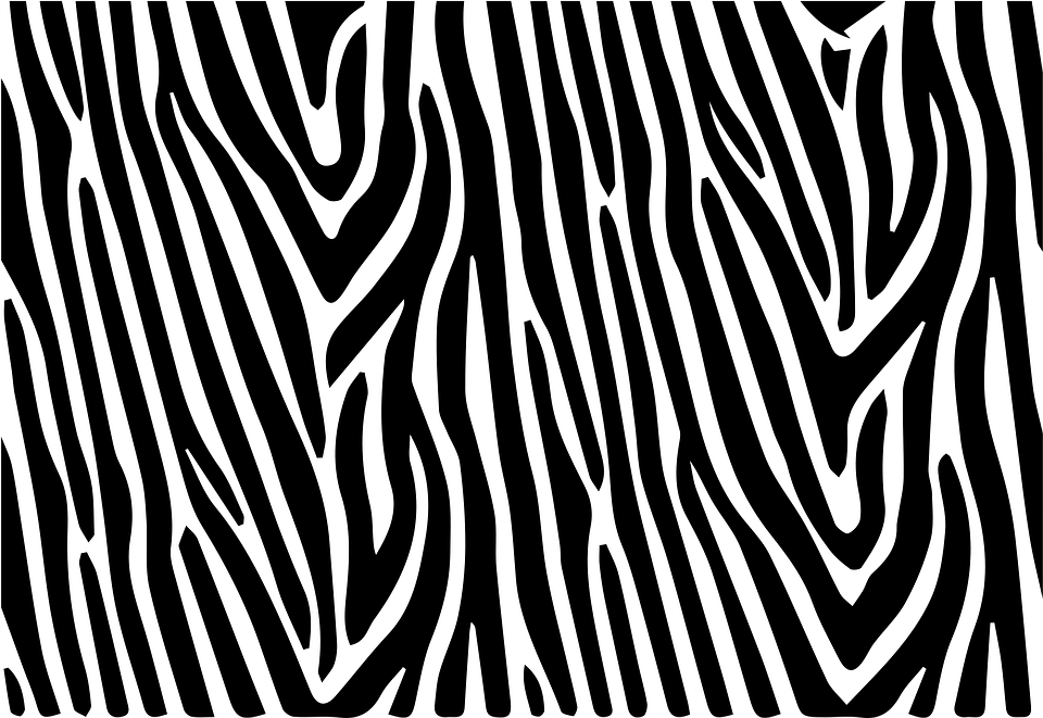 Detail Zebra Pattern Png Nomer 18