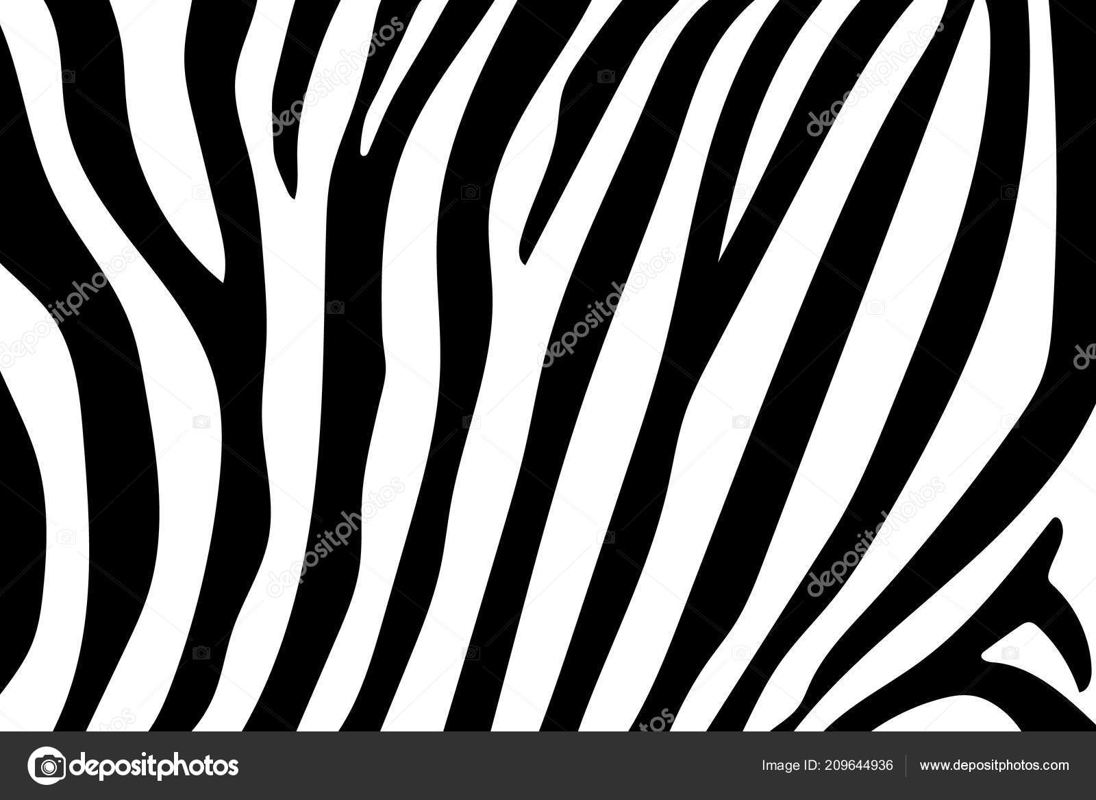 Detail Zebra Pattern Png Nomer 19