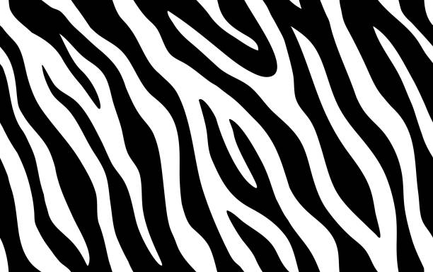 Detail Zebra Pattern Png Nomer 23