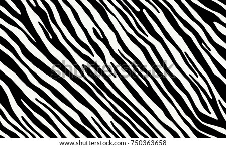 Detail Zebra Pattern Png Nomer 25