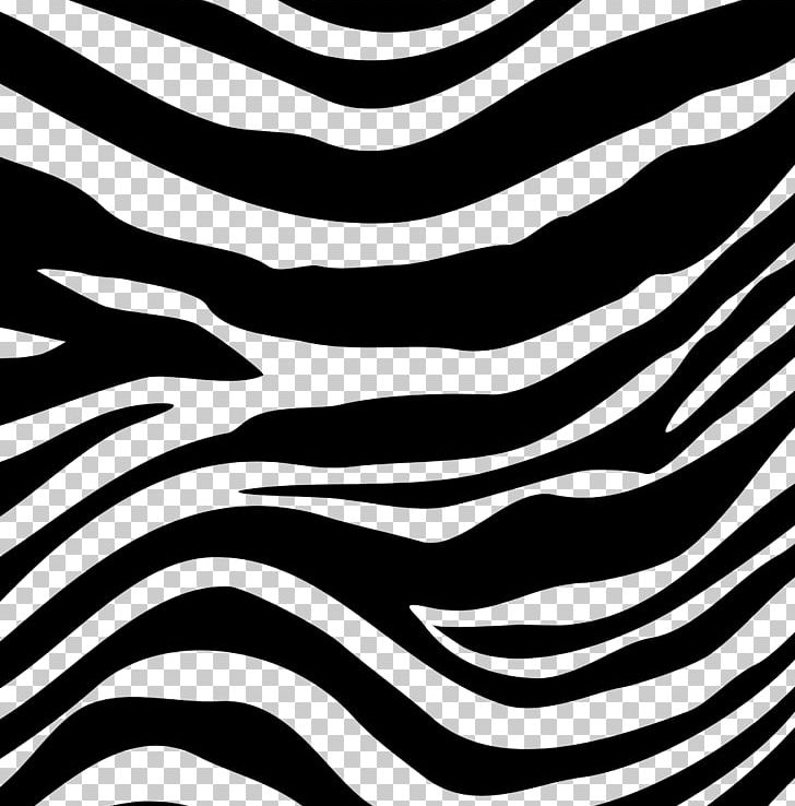 Detail Zebra Pattern Png Nomer 26