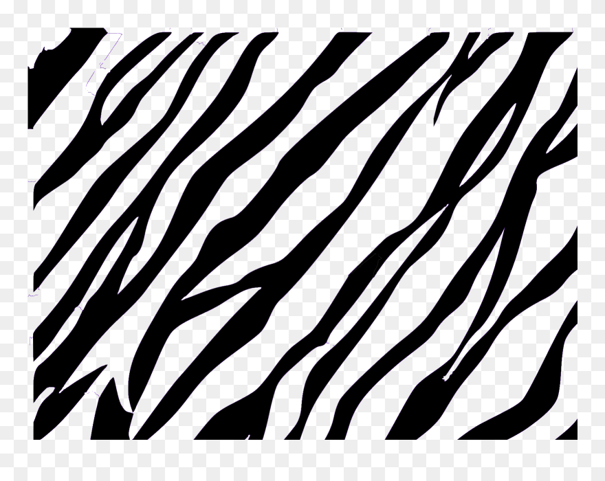 Detail Zebra Pattern Png Nomer 4