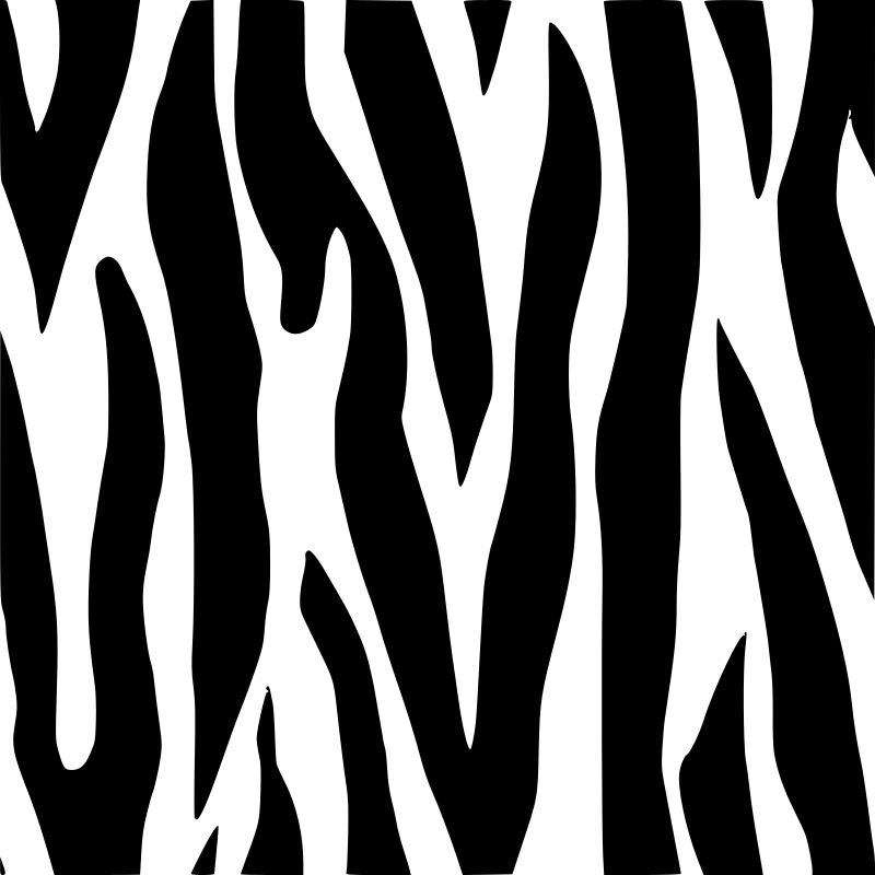 Detail Zebra Pattern Png Nomer 31