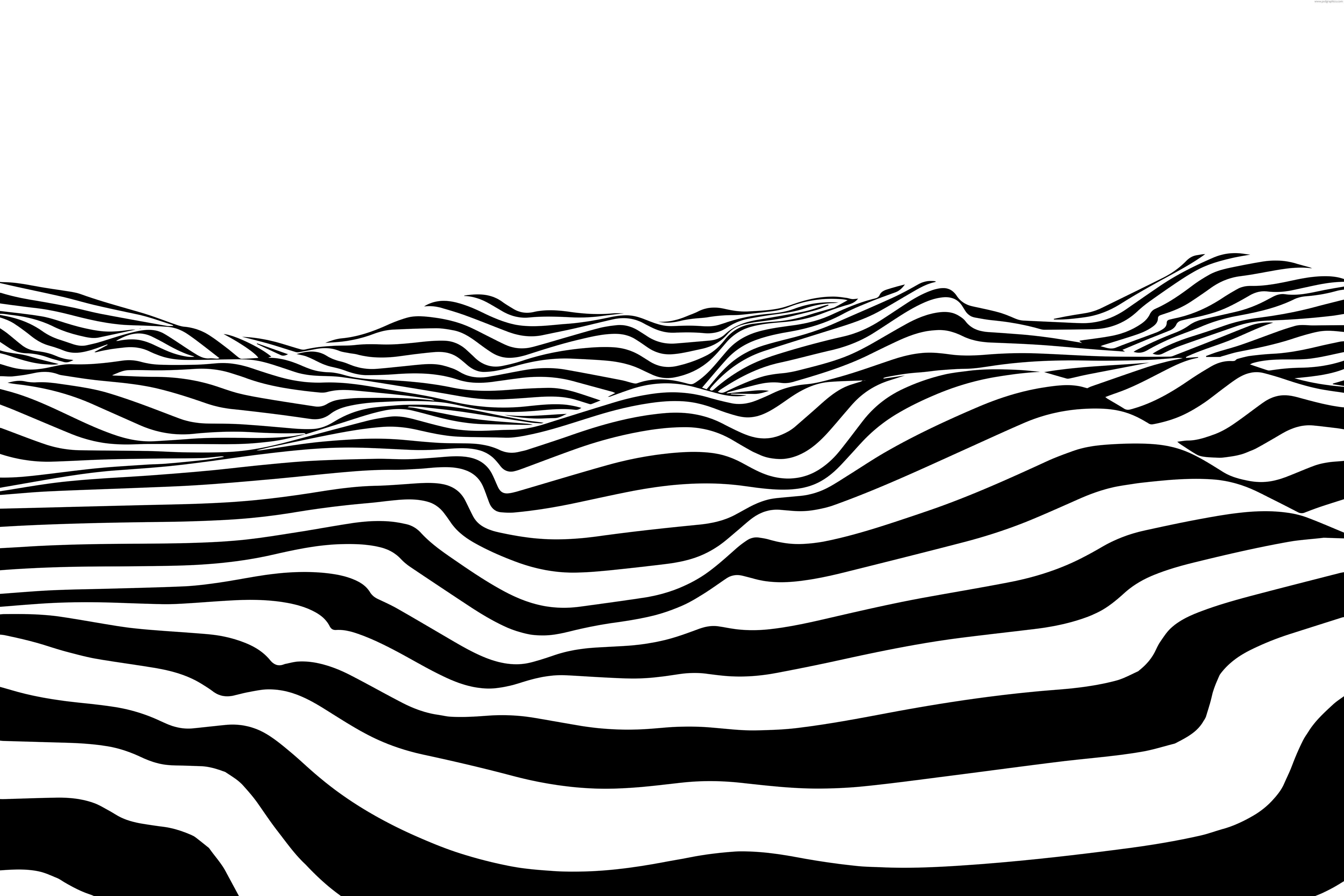 Detail Zebra Pattern Png Nomer 33