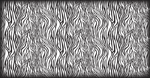 Detail Zebra Pattern Png Nomer 36