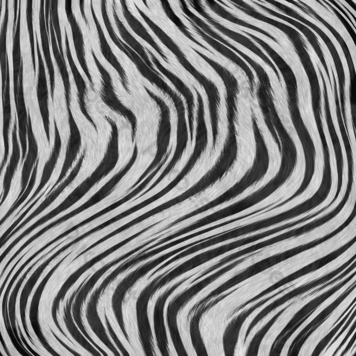 Detail Zebra Pattern Png Nomer 41