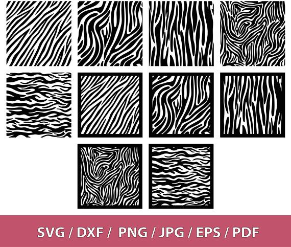 Detail Zebra Pattern Png Nomer 43