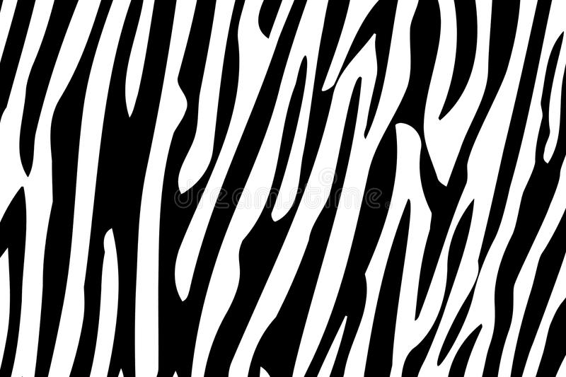 Detail Zebra Pattern Png Nomer 44