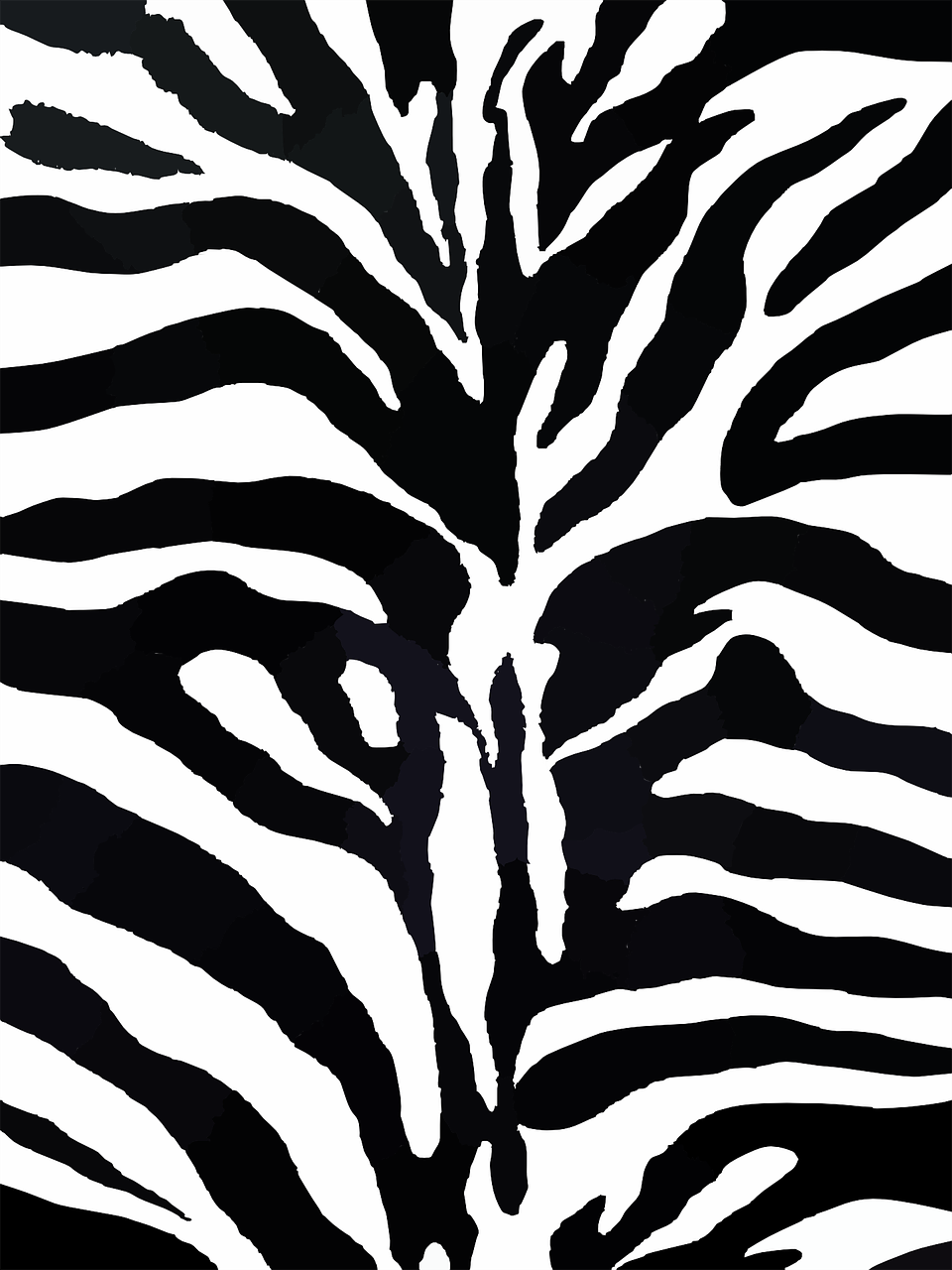 Detail Zebra Pattern Png Nomer 46