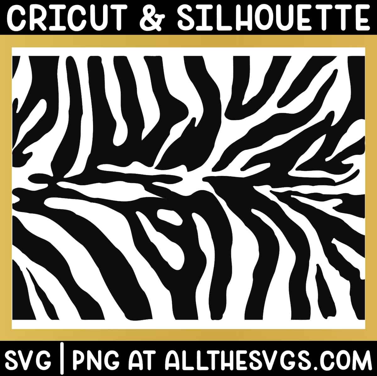 Detail Zebra Pattern Png Nomer 48