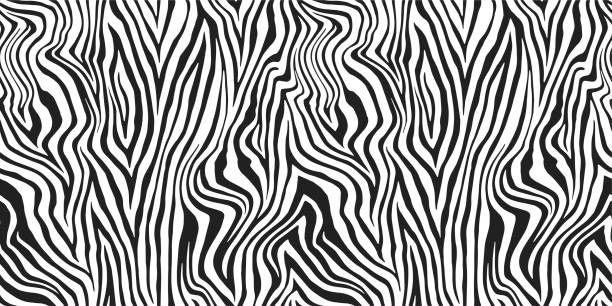 Detail Zebra Pattern Png Nomer 50
