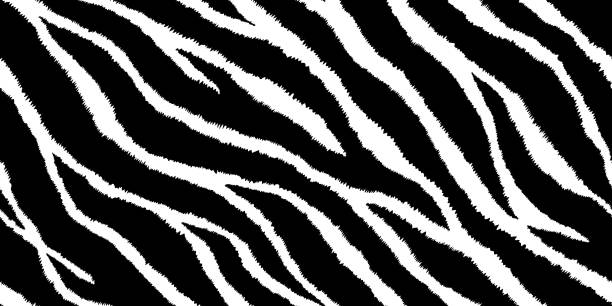 Detail Zebra Pattern Png Nomer 53