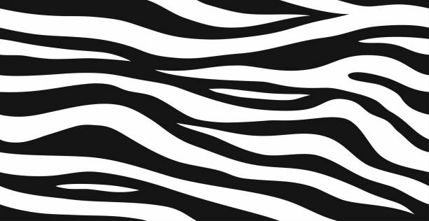 Detail Zebra Pattern Png Nomer 54