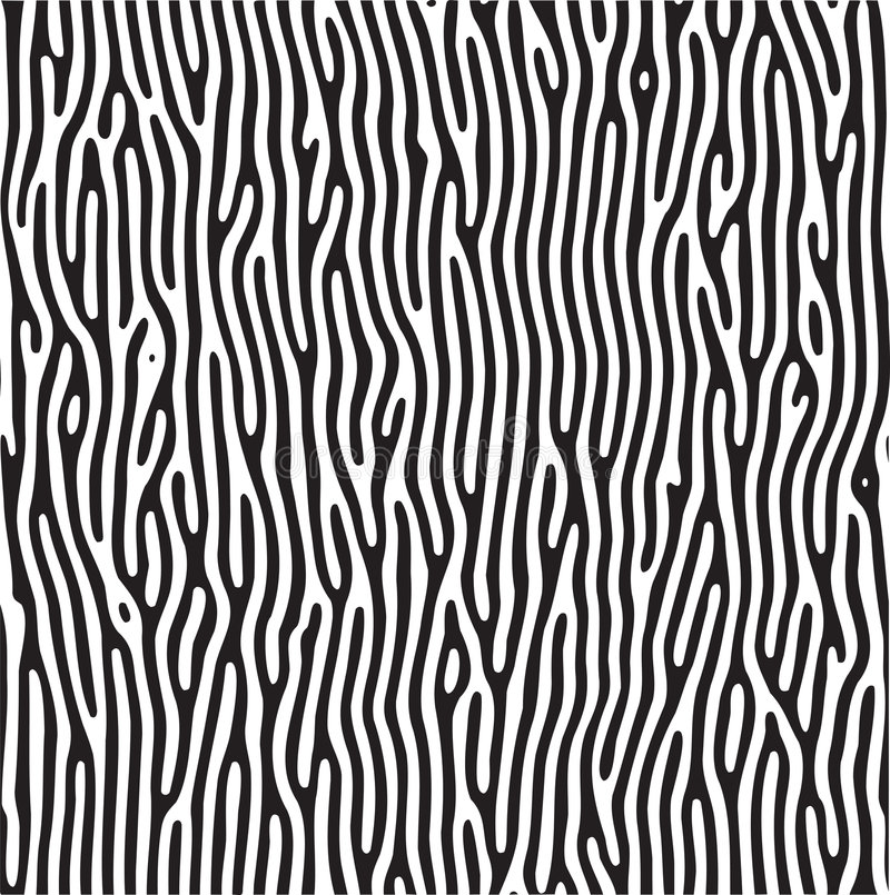 Detail Zebra Pattern Png Nomer 55