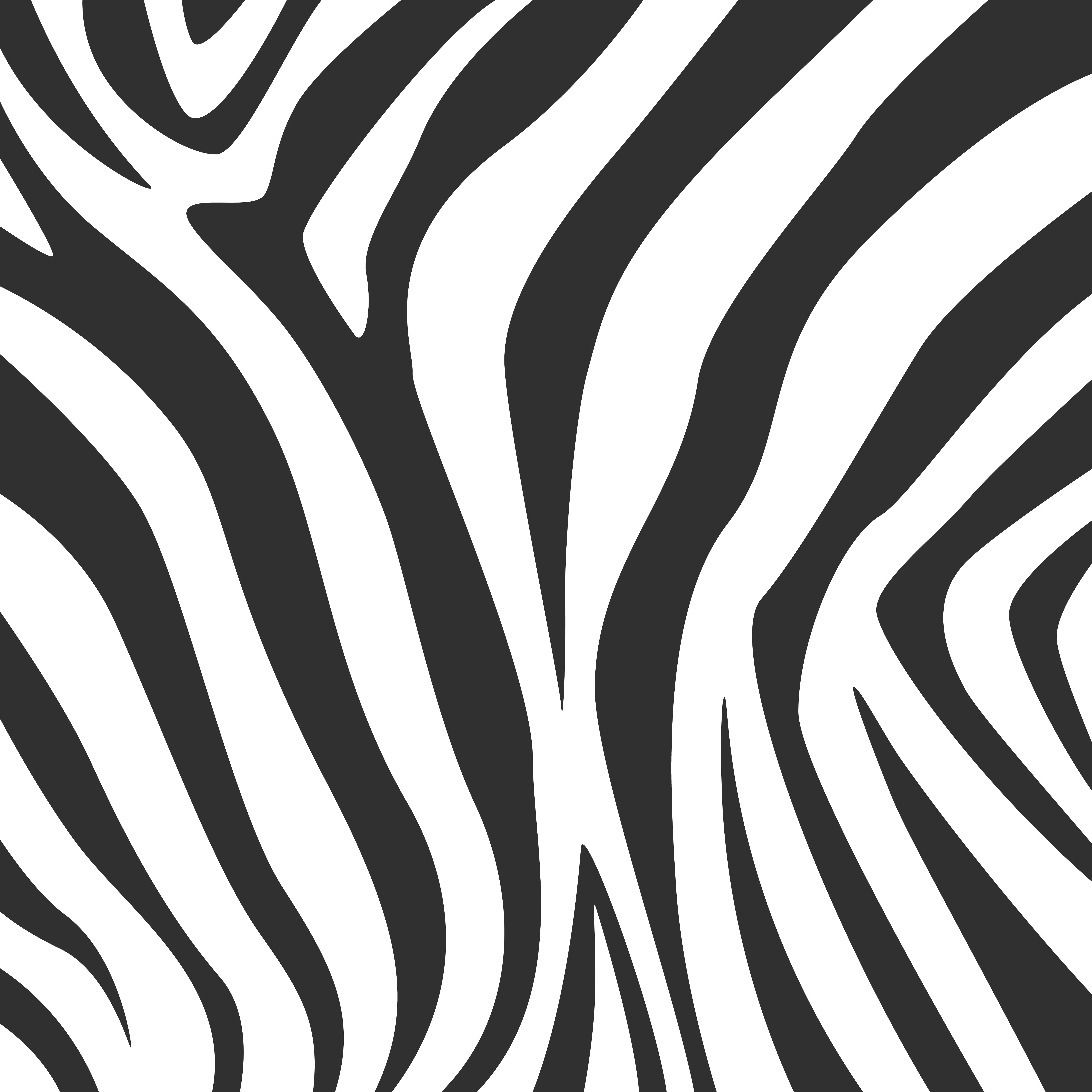 Detail Zebra Pattern Png Nomer 56