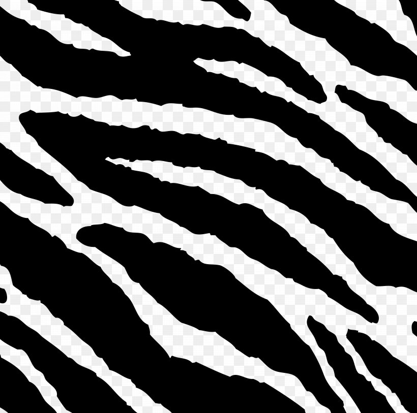 Detail Zebra Pattern Png Nomer 7