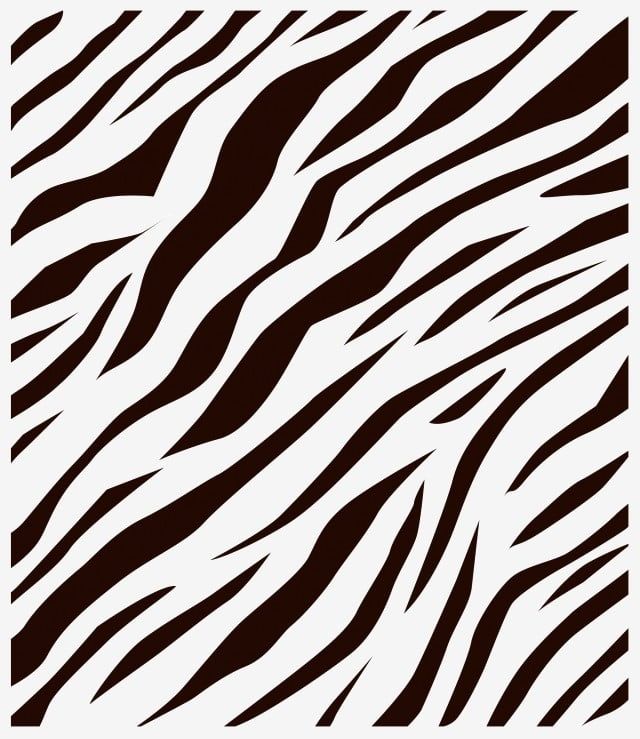 Detail Zebra Pattern Png Nomer 9