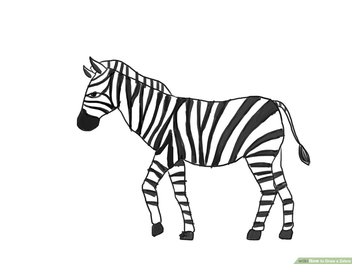 Detail Zebra Pic Nomer 28