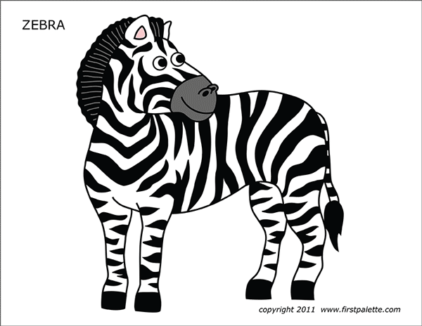 Detail Zebra Pic Nomer 36