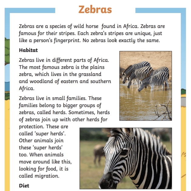 Detail Zebra Pics Nomer 56