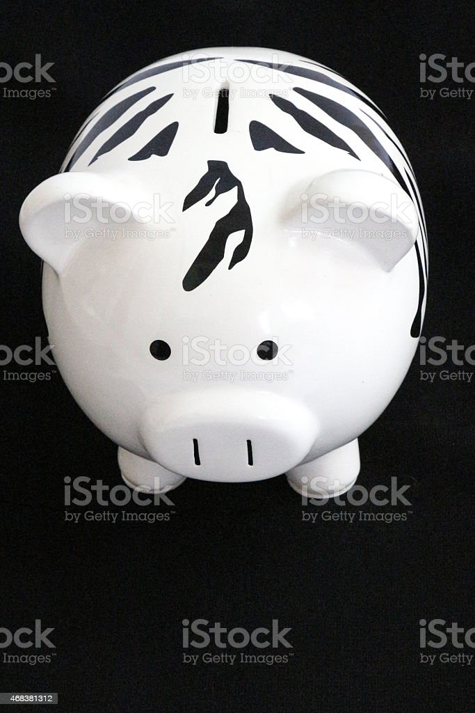 Detail Zebra Piggy Bank Nomer 24