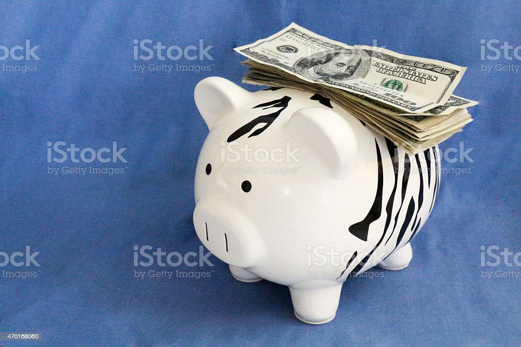 Detail Zebra Piggy Bank Nomer 25